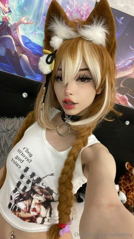 xenomyy main image