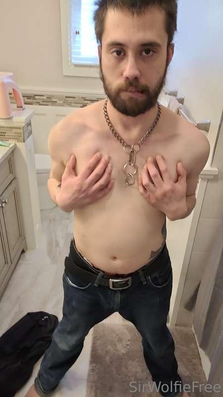 sirwolfiefree image #0