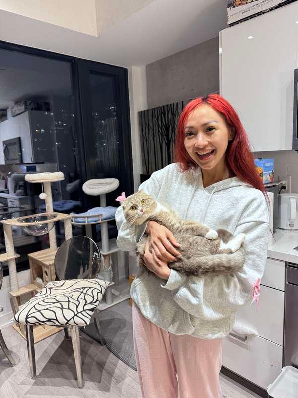 Should I get a cat? 🐈 