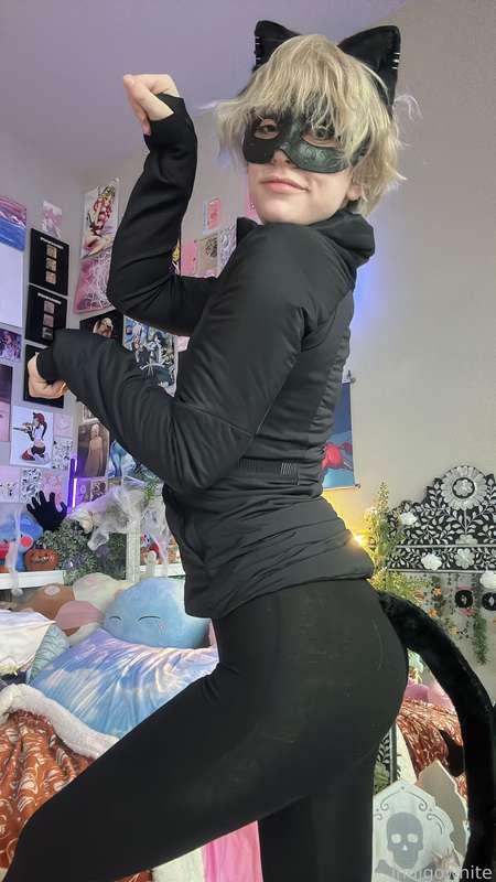 indigowhite image #128