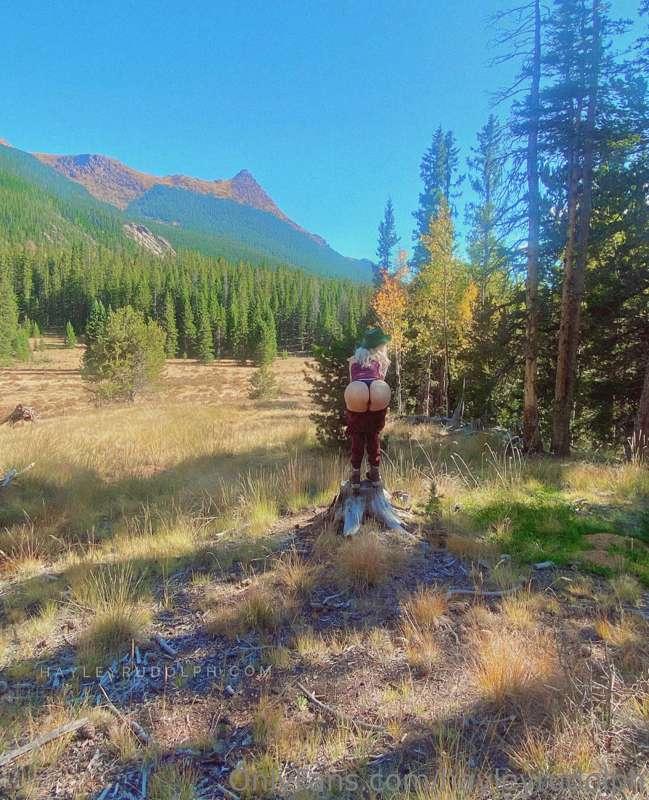 🕊 lost in the woods 🤍 
Tip: $9.99 for 20 photos + video 

EN..