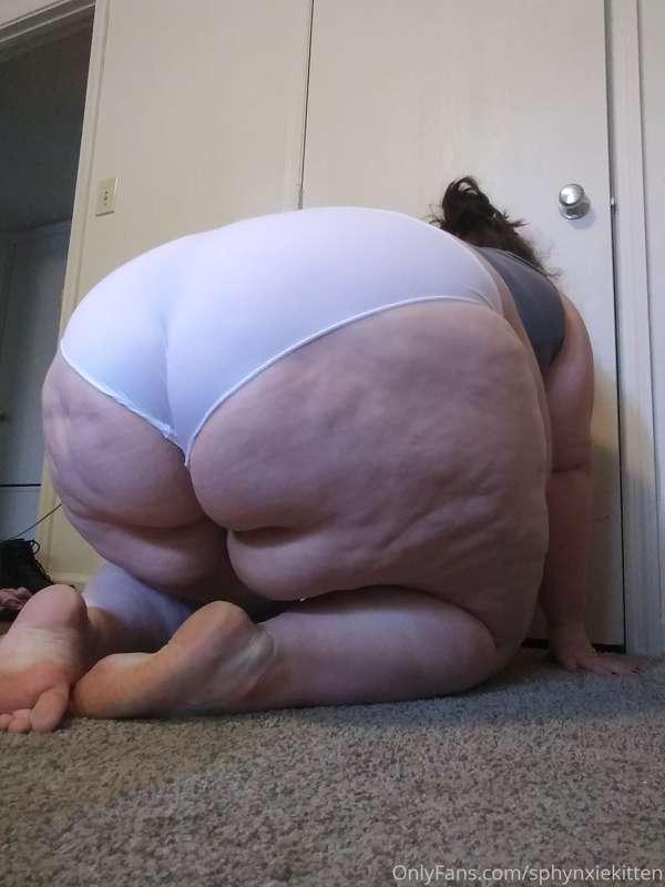 dbbwstheshitt image #0