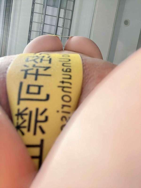🐽🐽🐽 VIP Piggies