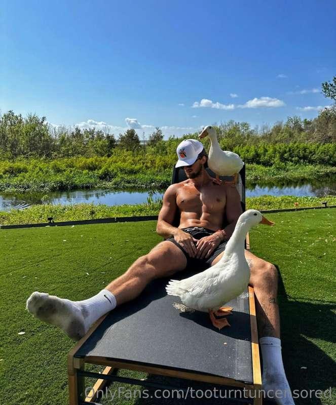 don't give a duck about it