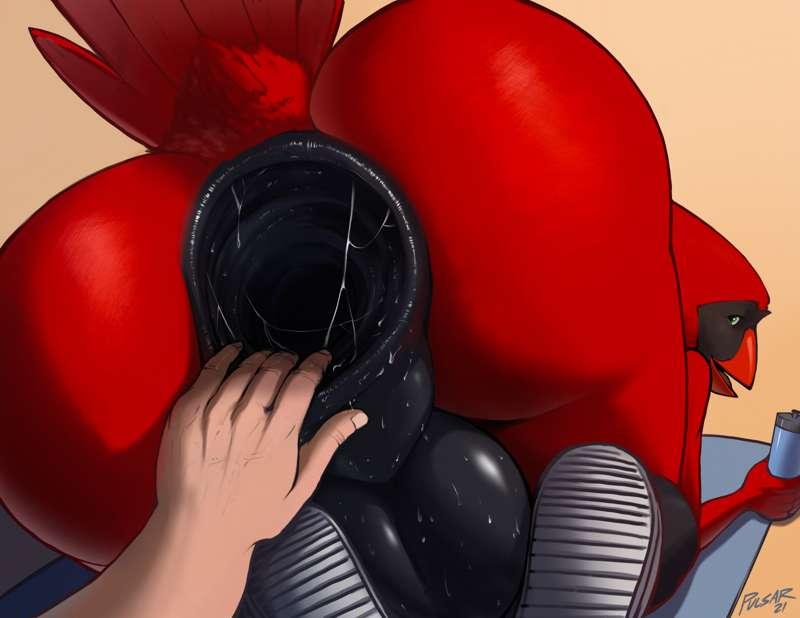Pulsar Grope