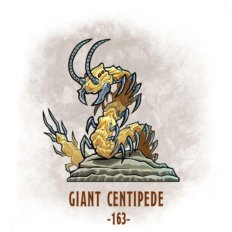 #163 Giant Centipede!