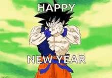 HAPPY NEW YEAR !