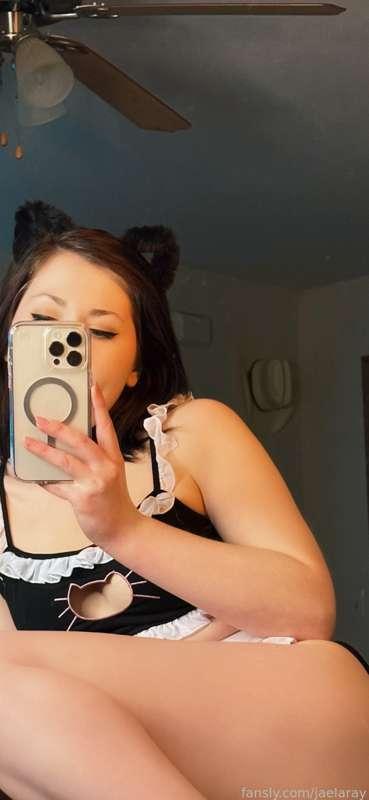Mirror pics for my favorite cats and kittens 💋