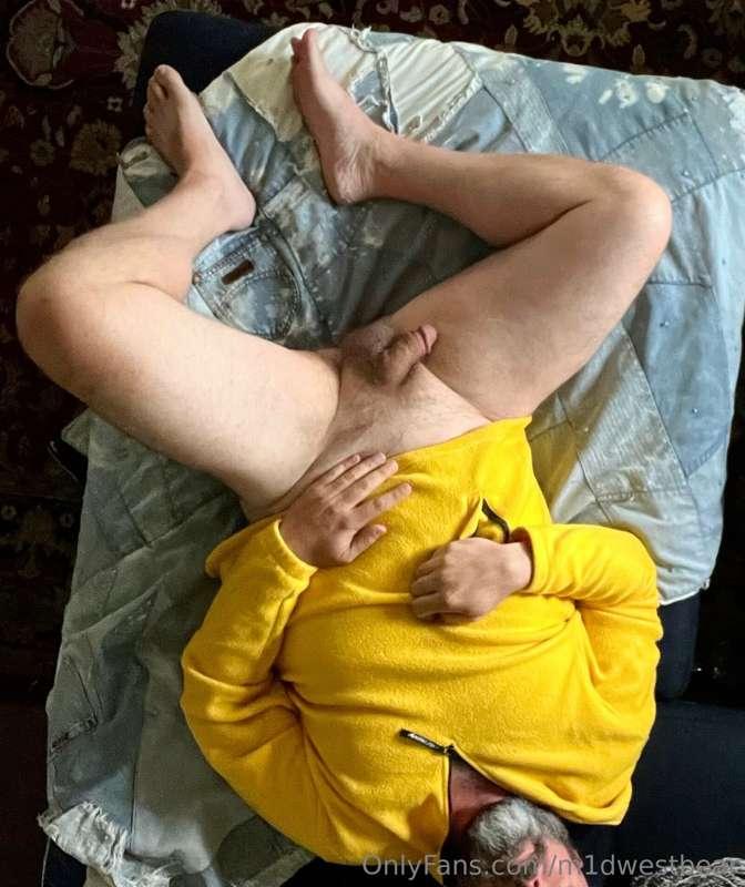m1dwestbear image #2