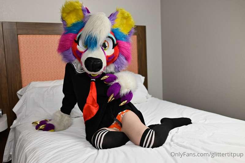 Some photos from a recent shoot! Paw pics soon 👀