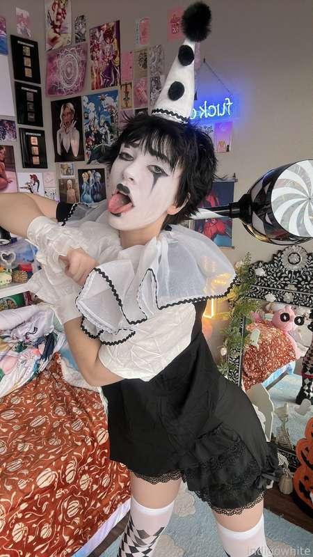 indigowhite image #53