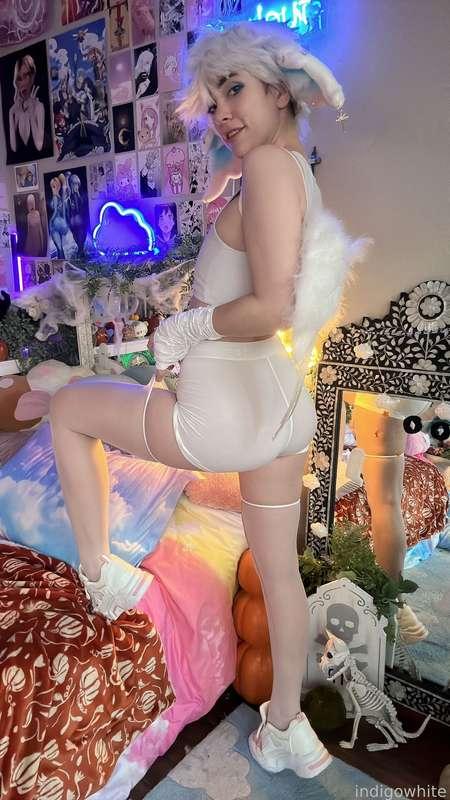 indigowhite image #138