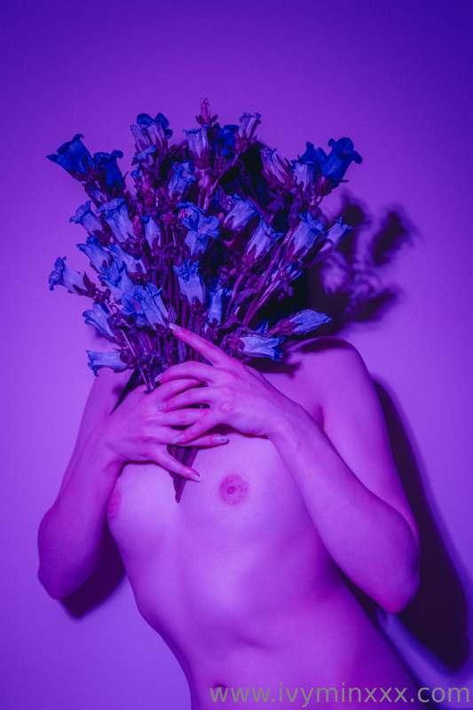 wake up and face the flowers 
*📸 @ohseephotography*