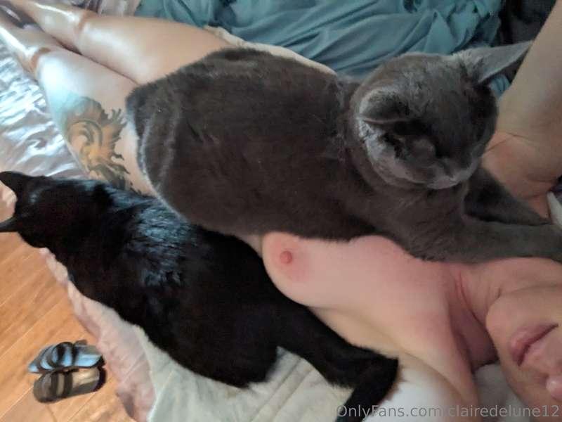 Pussy pile ;)