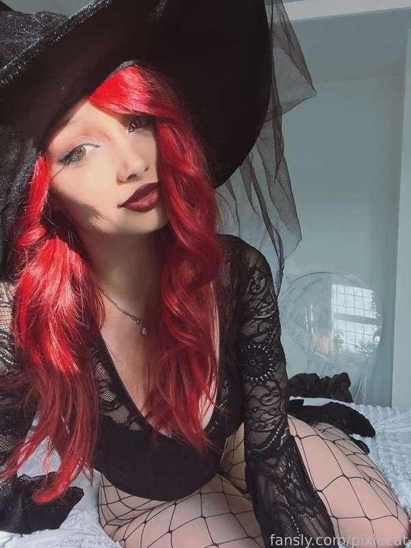 pixiecat image #22