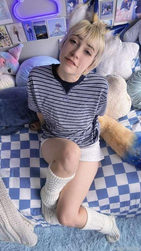 indigowhite image #51