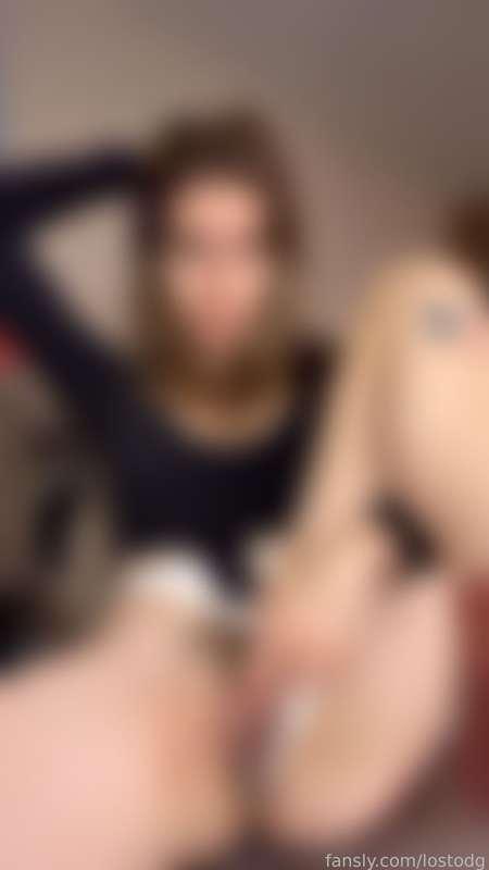 lostodg image #2