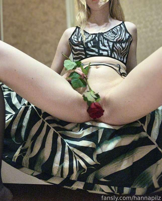 hannapilz image #3