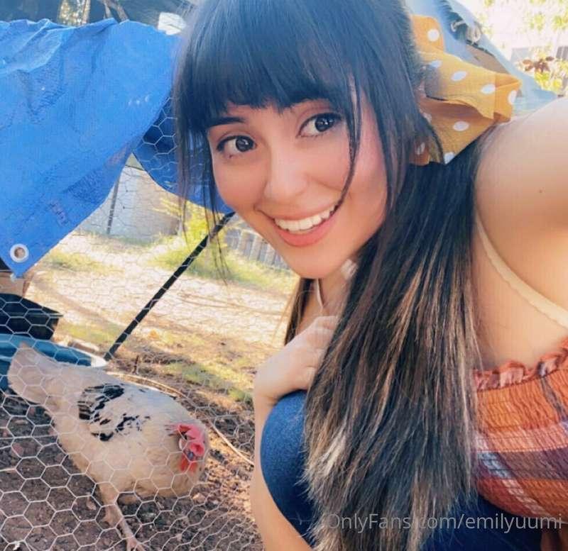 🐔