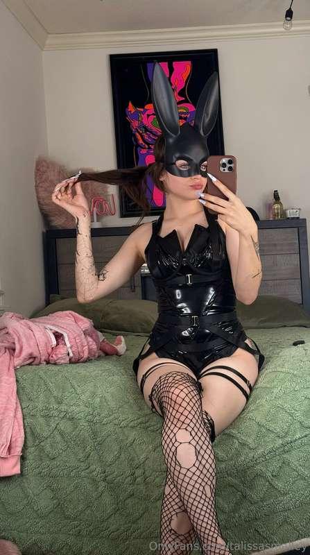 🖤🐰