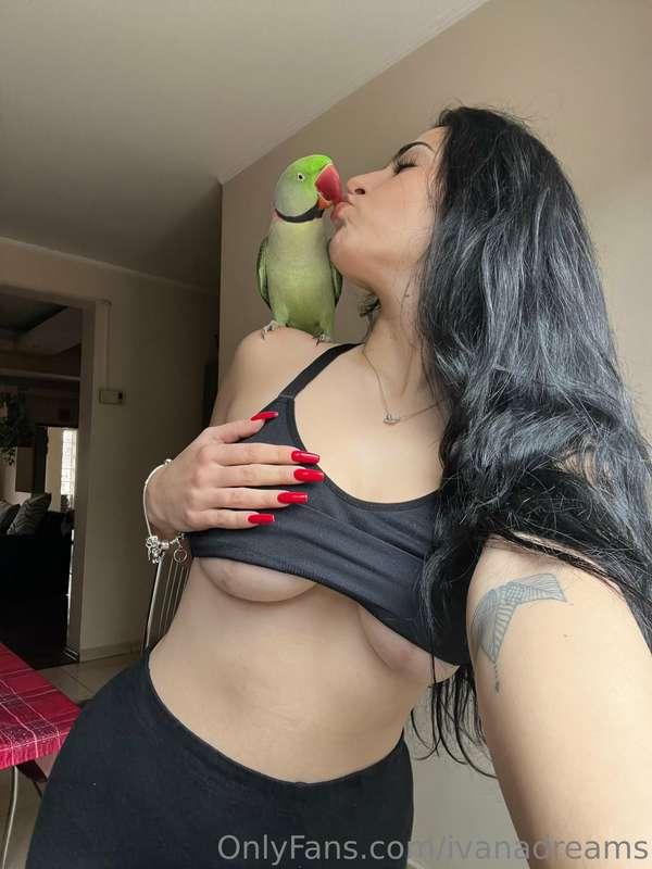 No life is complete without the love from a parrot 🦜 ❤️