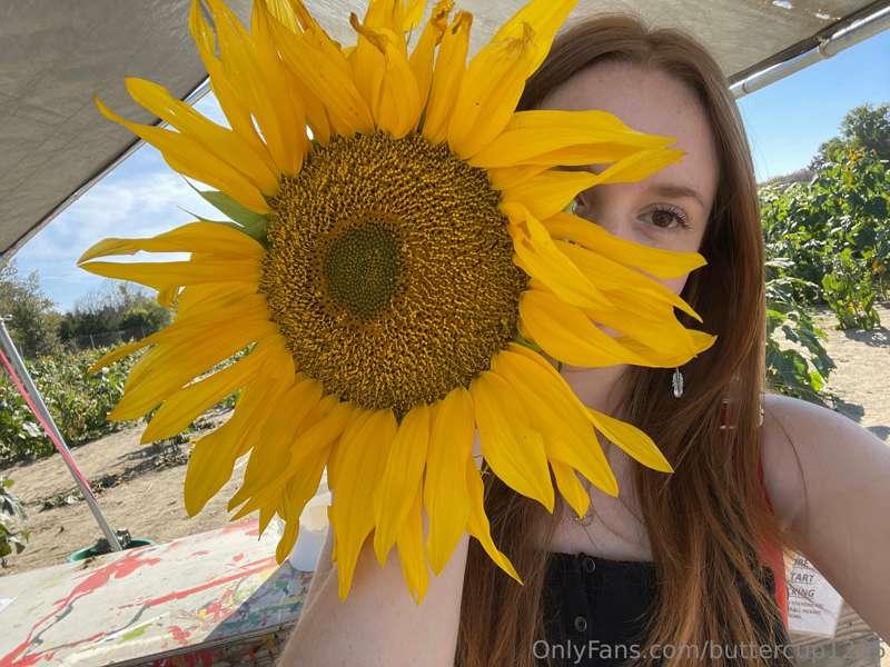 Last fall this little girl was at a farm with her parents an..