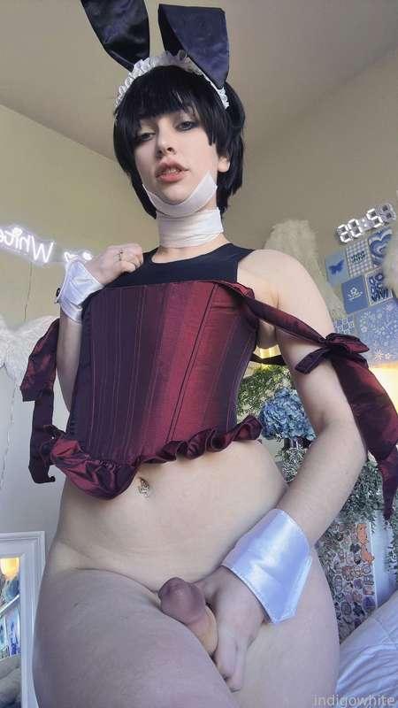 indigowhite image #167