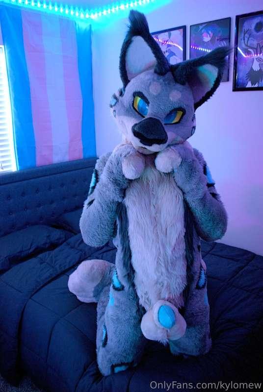 Fineee, ill beg for you, but only because you're so cute~