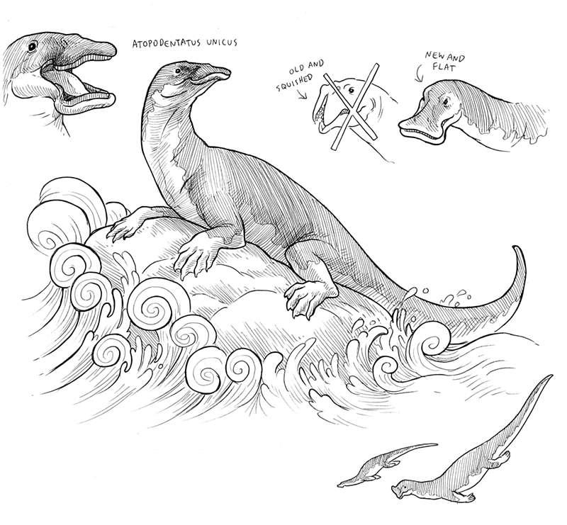 Extinct Creatures-- Atopodentatus unicus