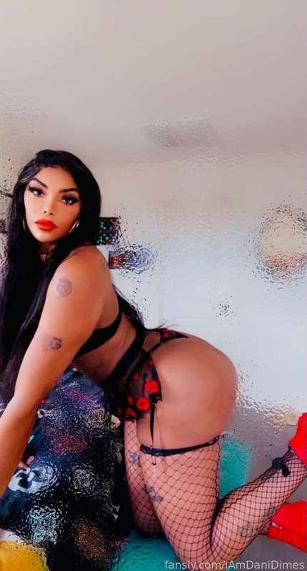 iamdanidimes image #1