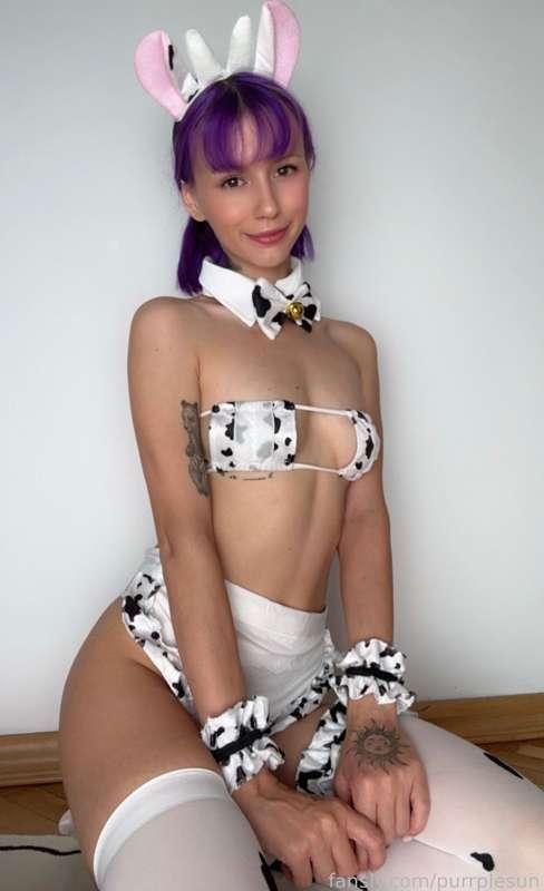 purrplesun image #1