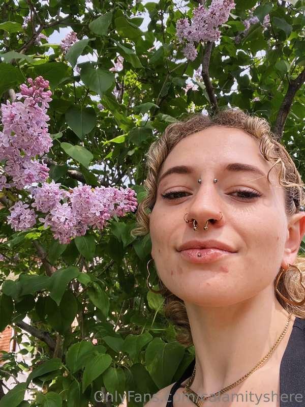 LILACS!!! LILACS!!!! LILACS EVERYWHERE!!!! ITS MY TIME TO SH..