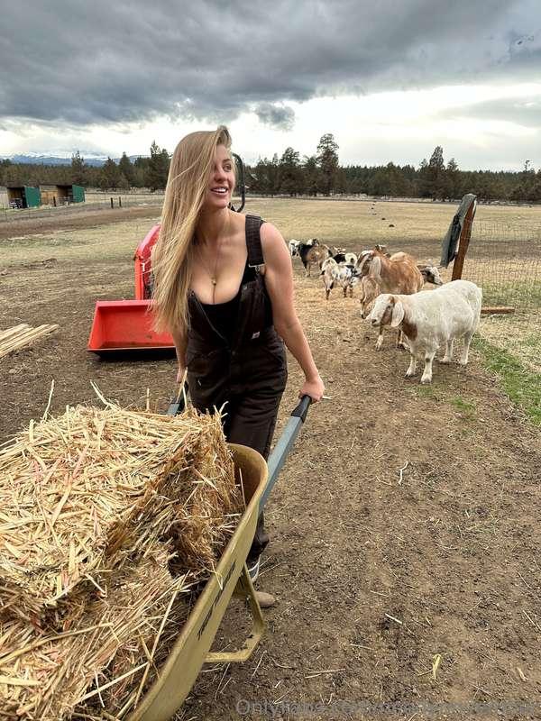 i'm building a fence on my property so i can take content fo..