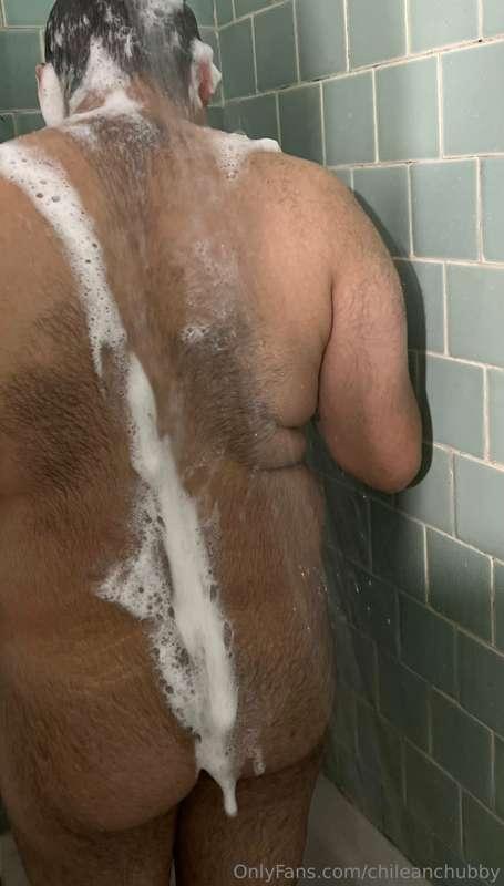 chileanchubby image #0