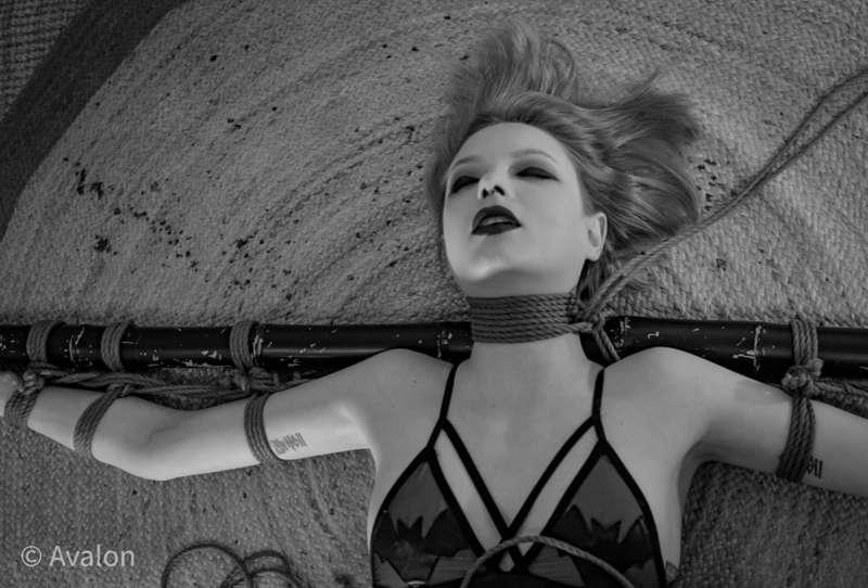 Shibari ~ Tye 2