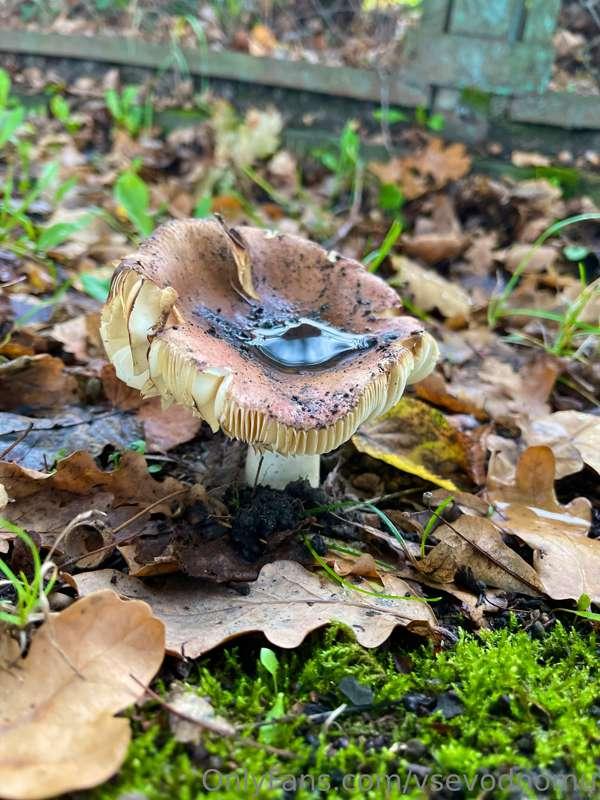 Wonderful autumn in the West of Ukraine.
- - - - - - - - - -..