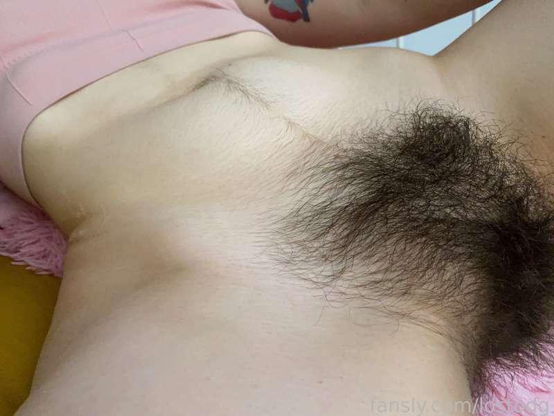 lostodg image #1