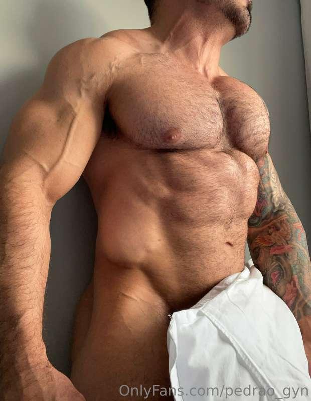 🦍 🦍