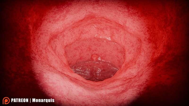 Momo's throat | Internal