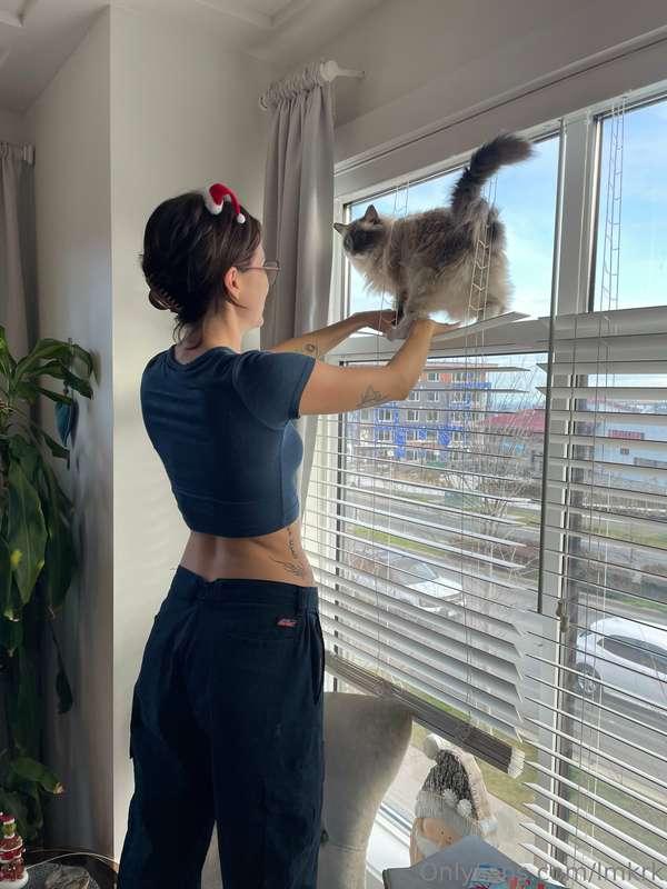 Merry Christmas 🎄 😺