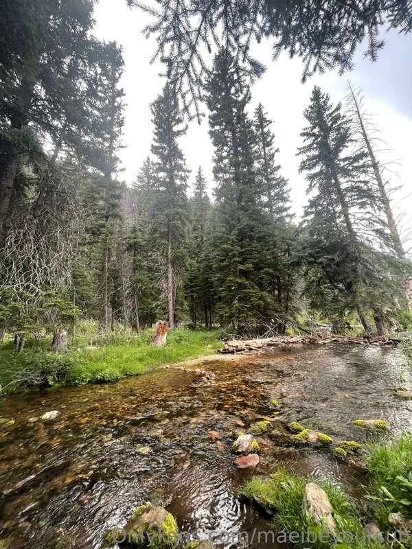 I love hiking up in the trees 😍🥰