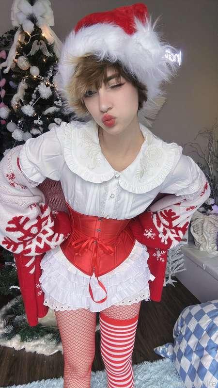 indigowhite image #32