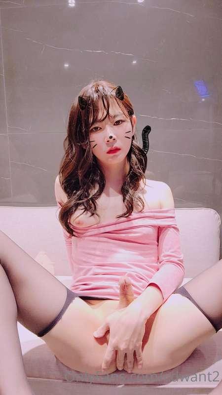 cdwant2 image #17