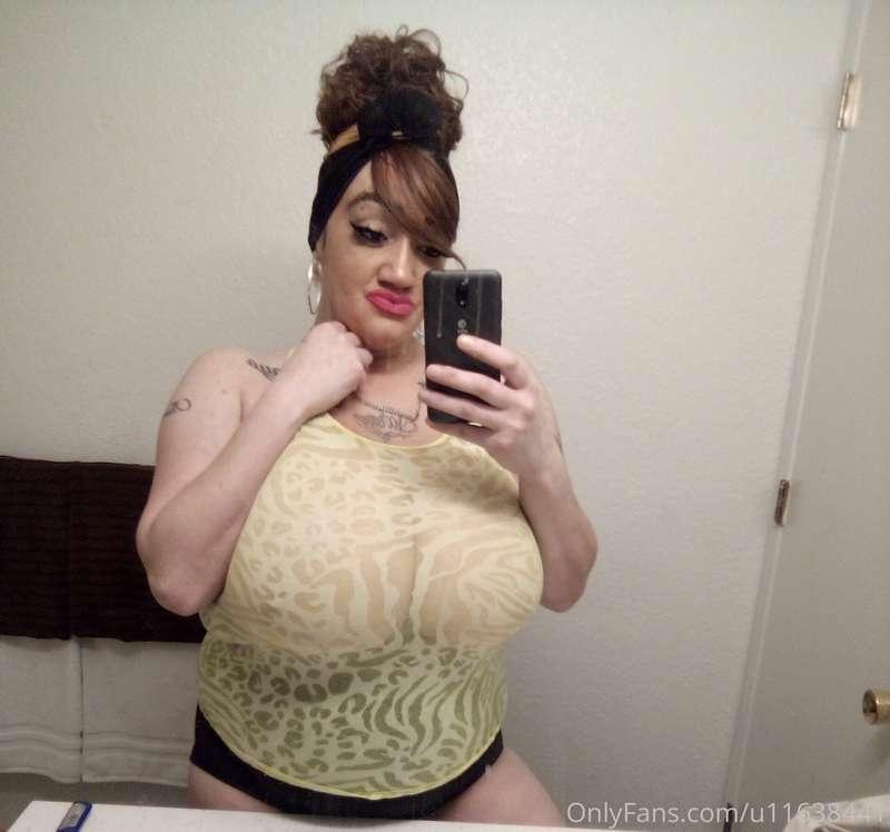 shaunita8 image #0