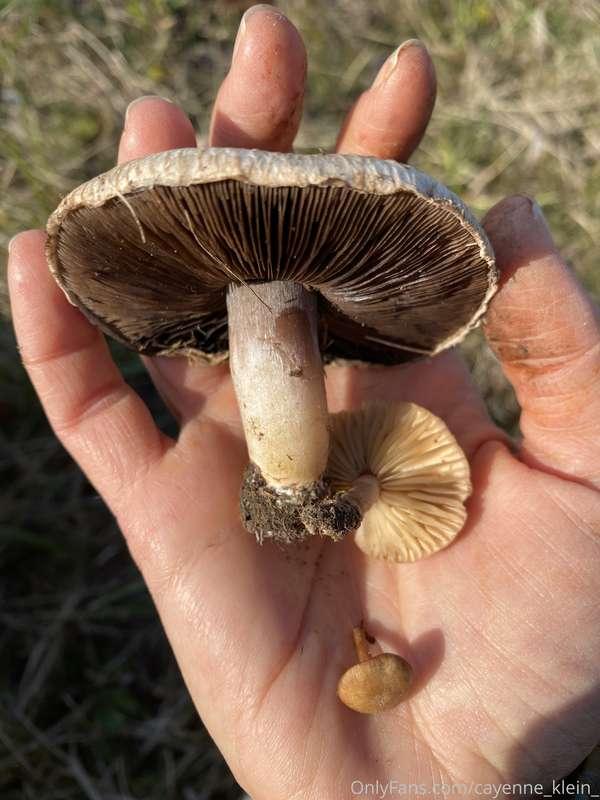 cayenne_klein_ image #23