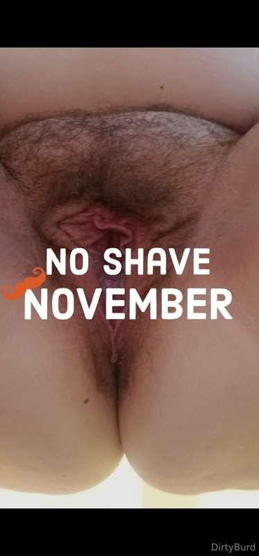 No Shave November is back! I'm not shaving the rest of the m..