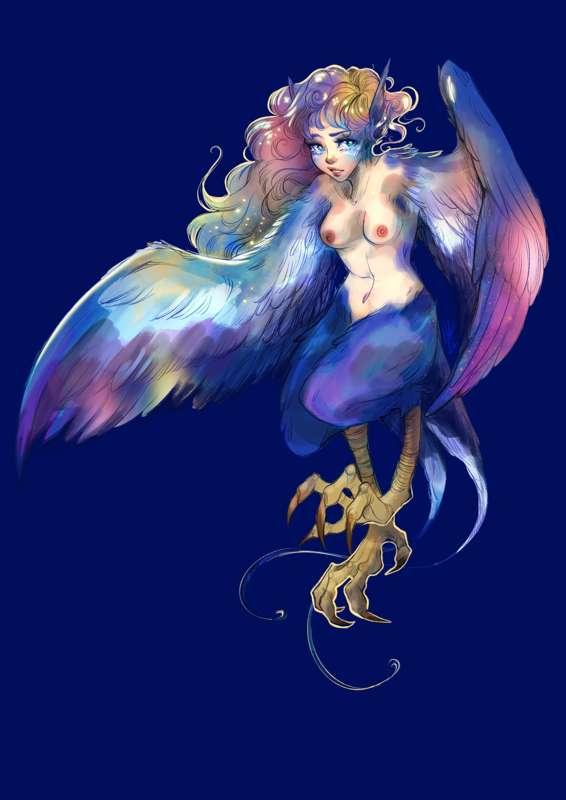 Harpy Nyx 🐤🐤🐤