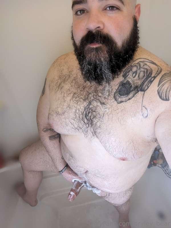 bryley_bear image #0