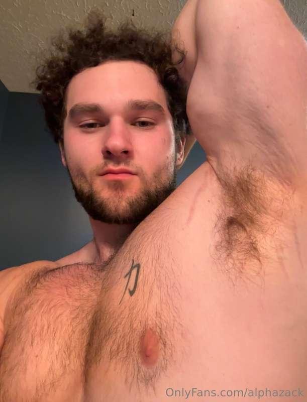 alphazack image #3