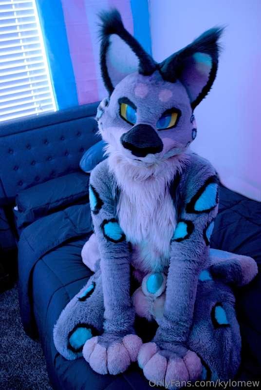 H-Hey...what'cha got there? Is that for me??? 👉👈